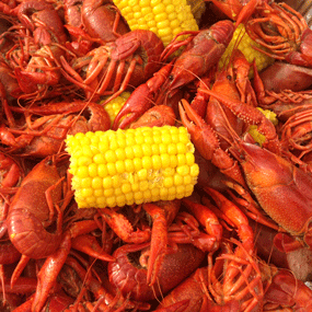 We prepare on site shrimp boils, lobster boils or crawfish boils